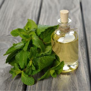 Aceites esenciales de menta, canela y eucalipto