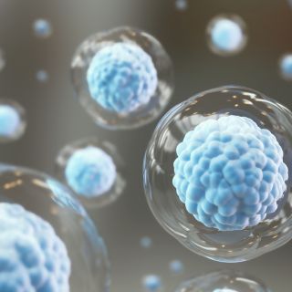 Promoción de la regeneración del tejido